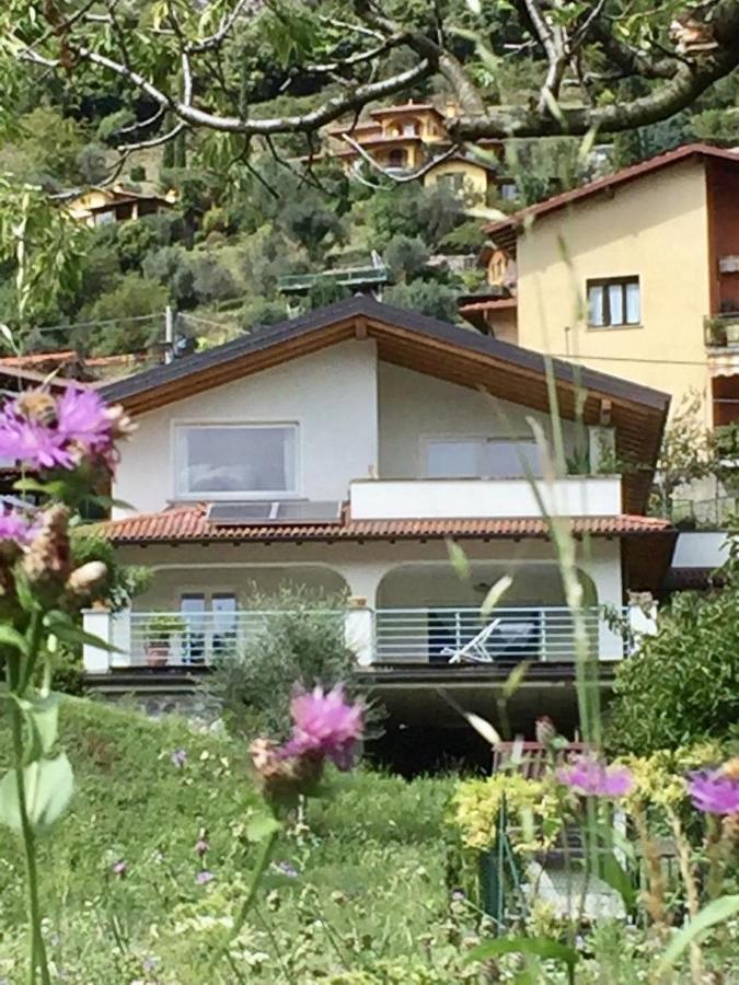 Villa 3 Olivi - Lenno By Lovecomo Kültér fotó